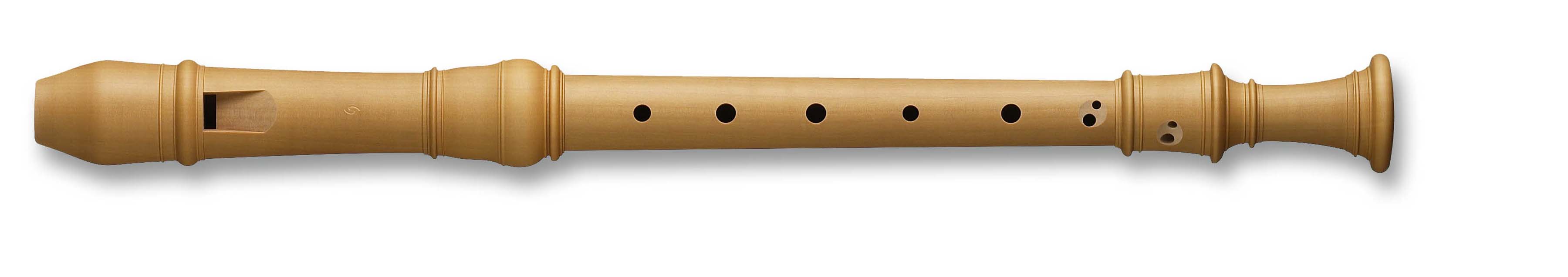recorder instrument