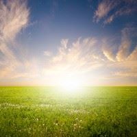 You Are My Sunshine, Who brings a little sunshine to your life?