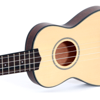 Music Therapists-Uke Can Rock!
