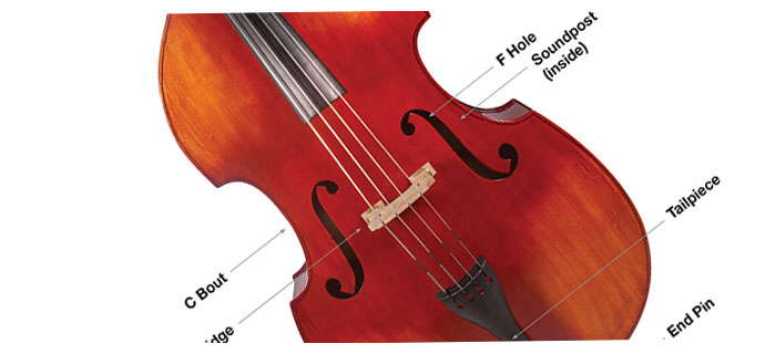 First Time String Bass Players