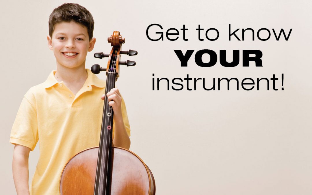 First Time Cello Players