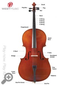 cello diagram