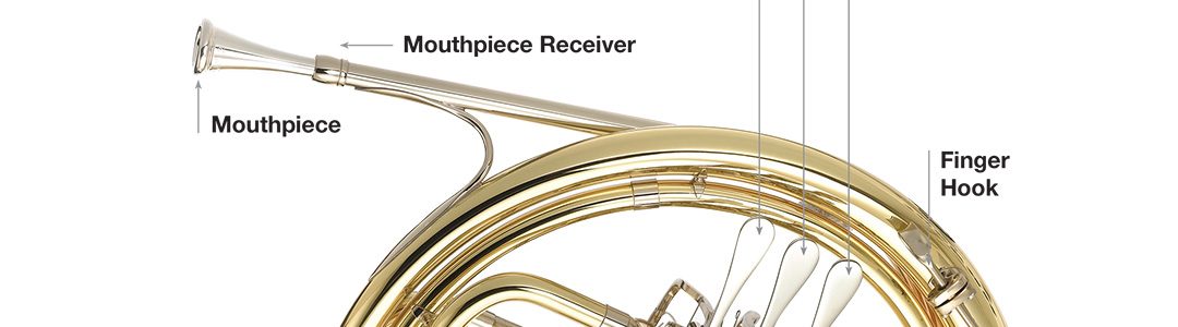 First Time French Horn Players