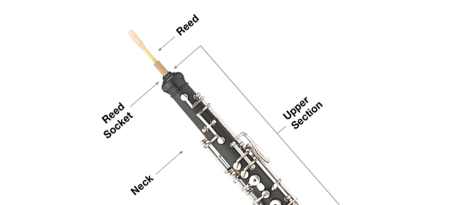 First Time Oboe Players