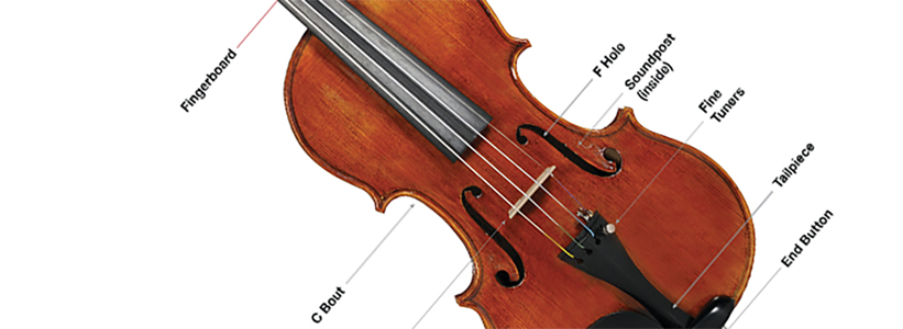 First Time Violin Players