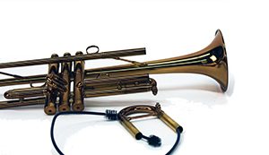 snaking your trumpet
