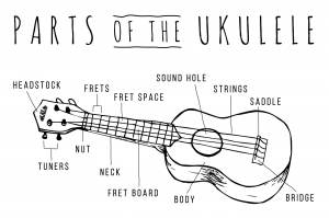 Parts of the Ukulele