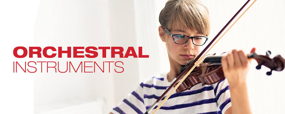 violins instrument store